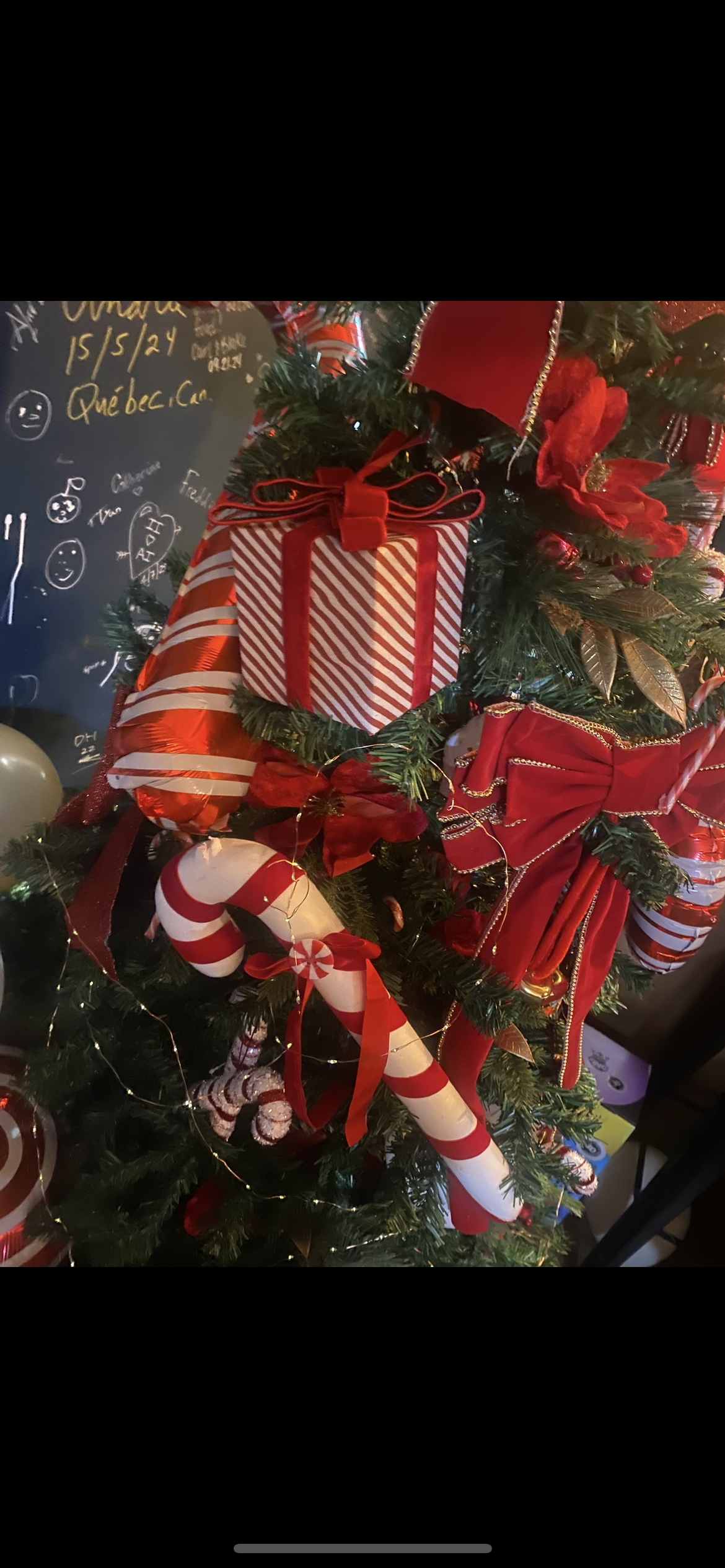 Christmas dinner boxes £55pp (minimum order 2 people)